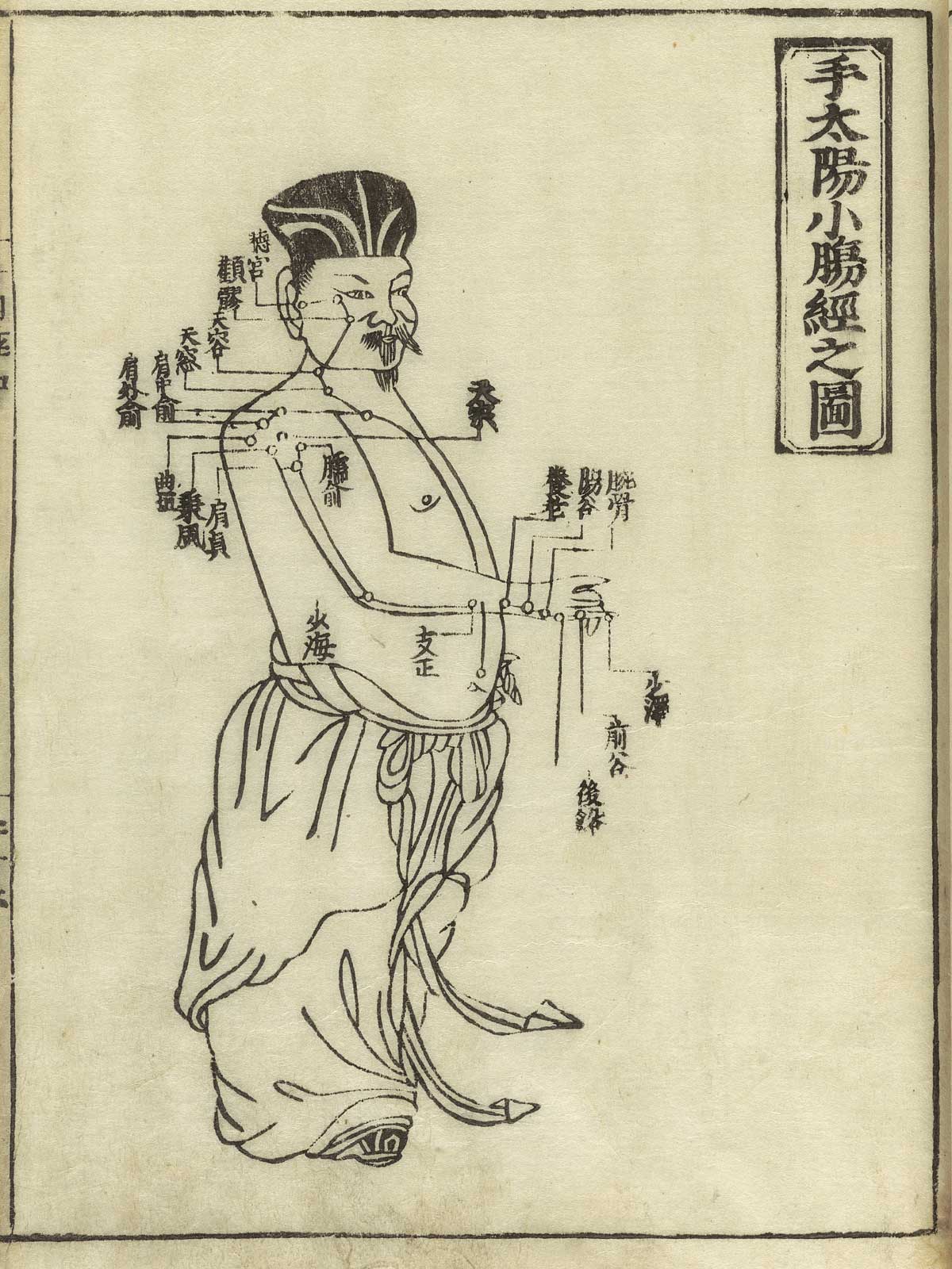 手太阳小肠经