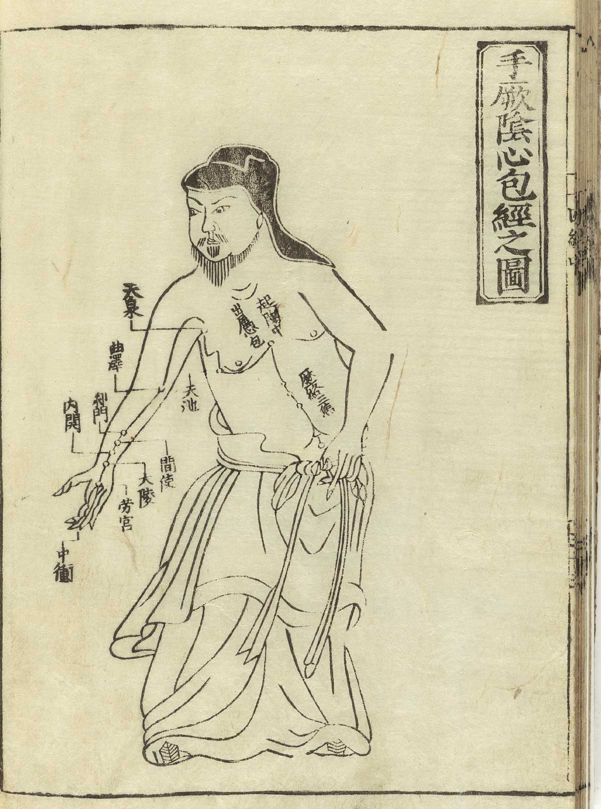 手厥阴心包经